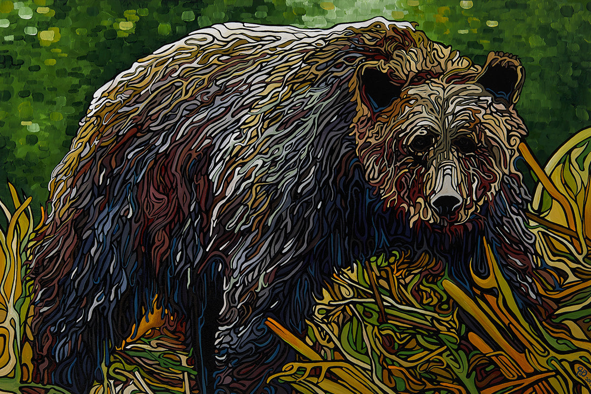 111-great-bear-rainforest-prints