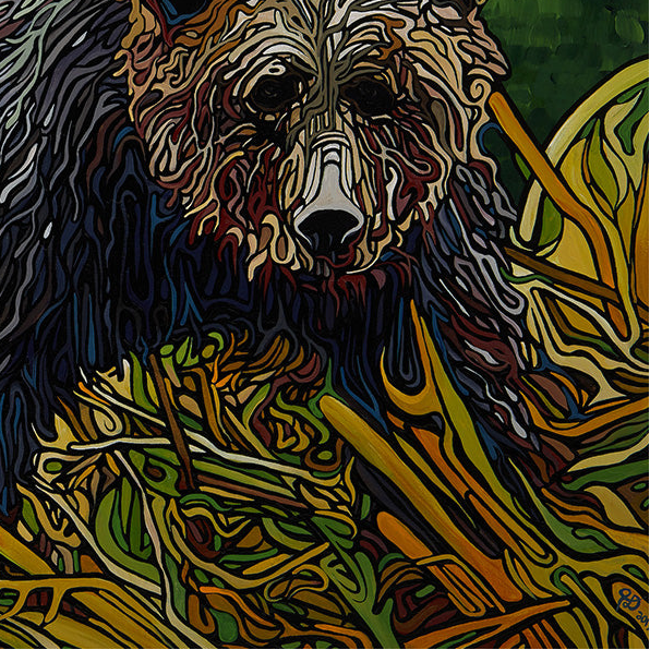 #111 "Great Bear Rainforest"