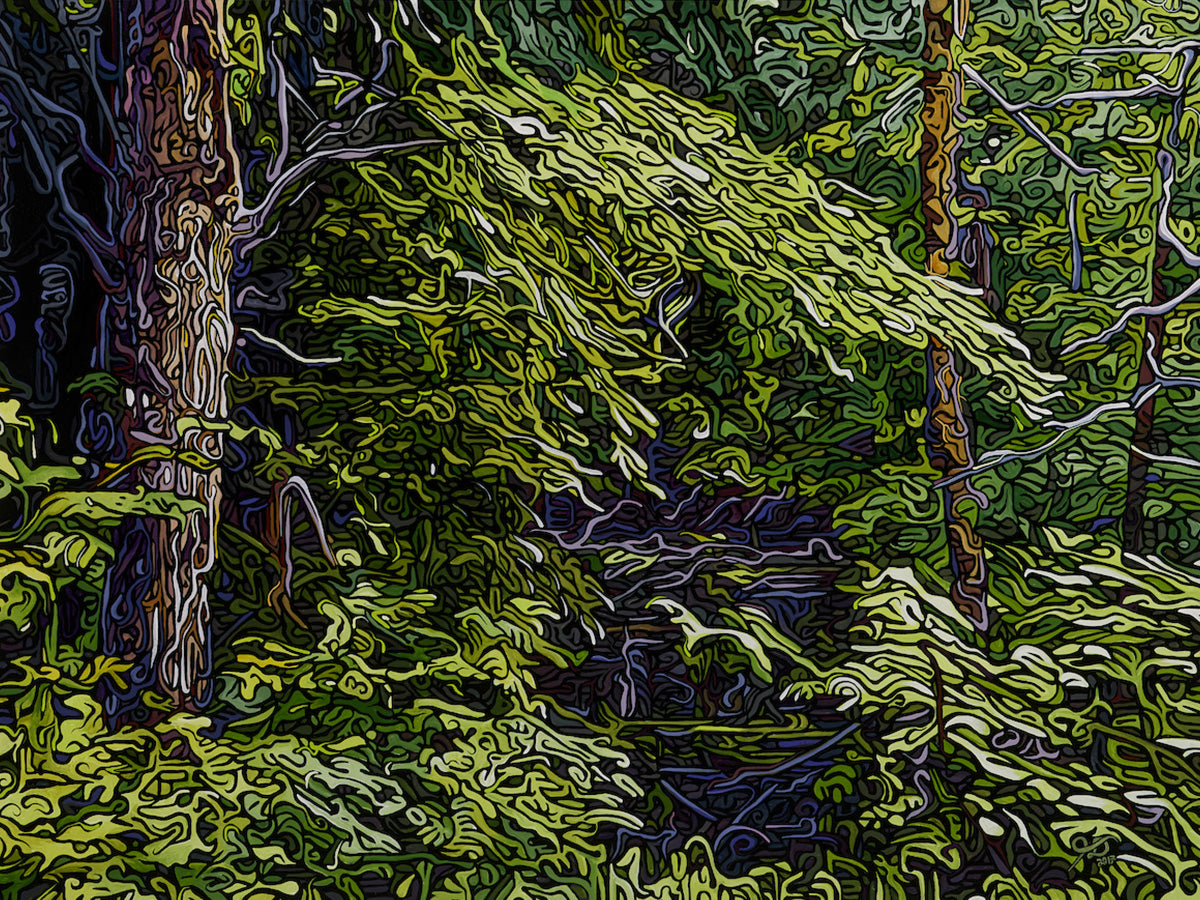 112-forest-cathedral