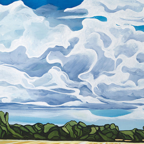 #114 – Champs Jaunes