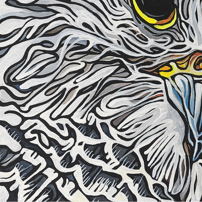 #158 « Perchoir caché »