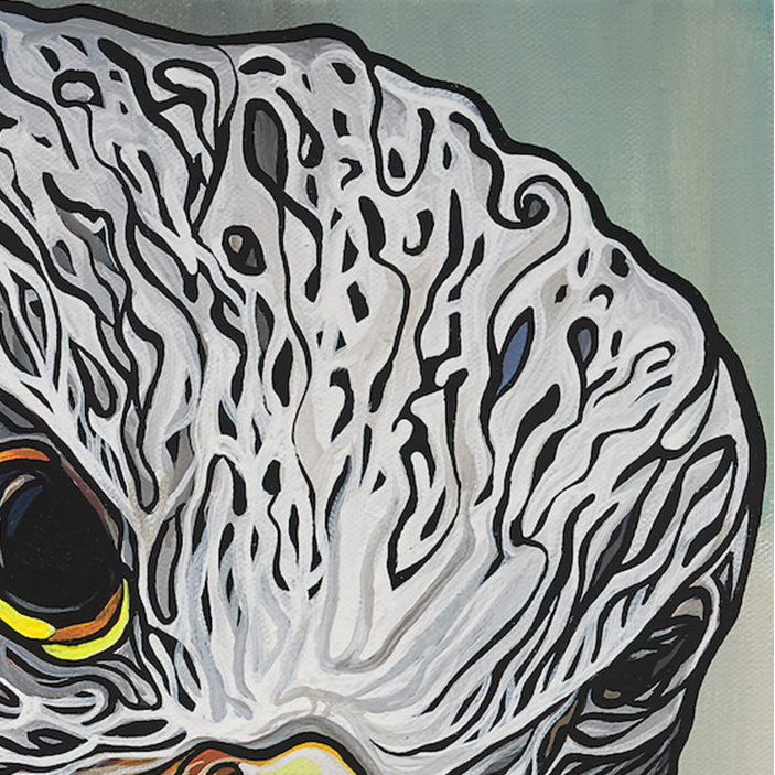 #158 « Perchoir caché »