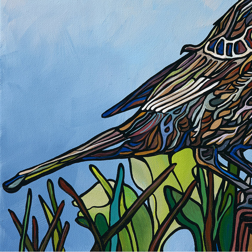 #169 “红翅黑鹂雌鸟”