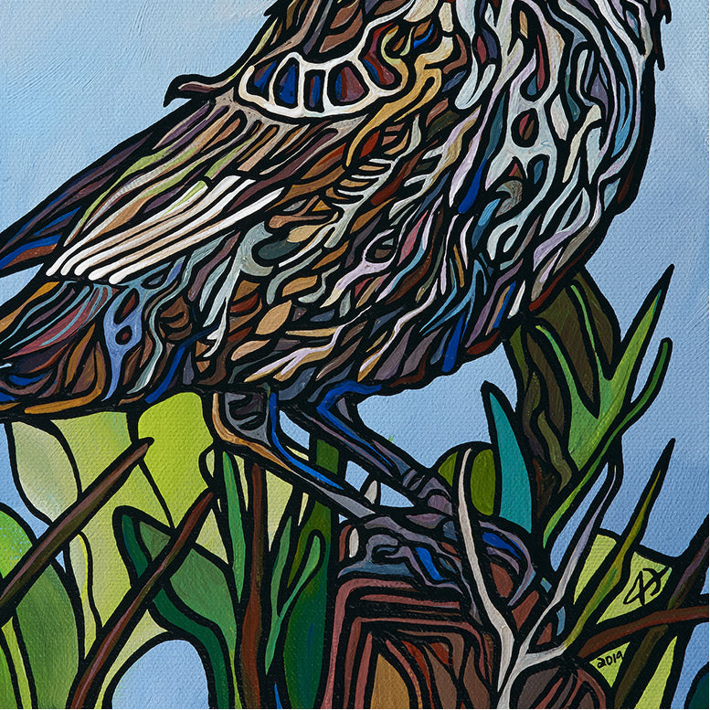 #169 “红翅黑鹂雌鸟”