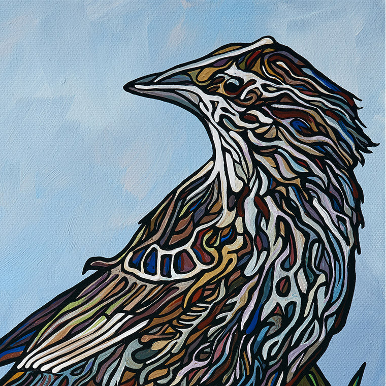 #169 – Red-winged Blackbird Female