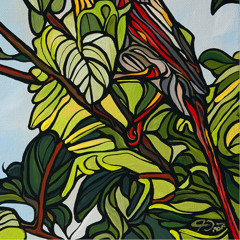 #173 – Vue de dessus