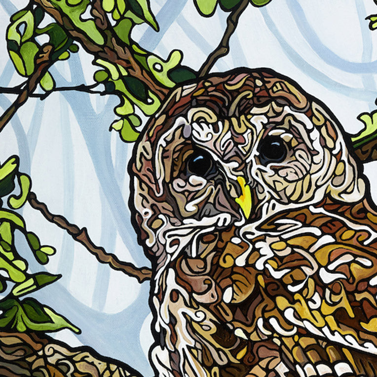 #189 – Forever Looking At You