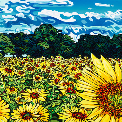 #224 – 梦幻之地