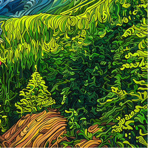 #228 “伴着湖水起舞”