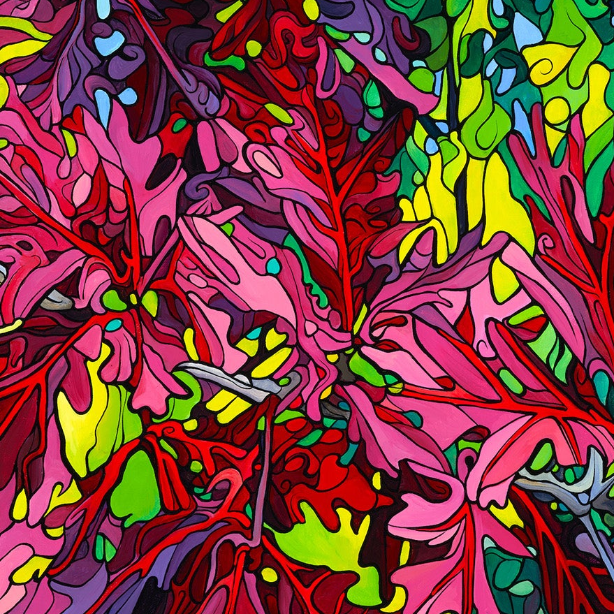 #242 "Majestic Maroon Oak"