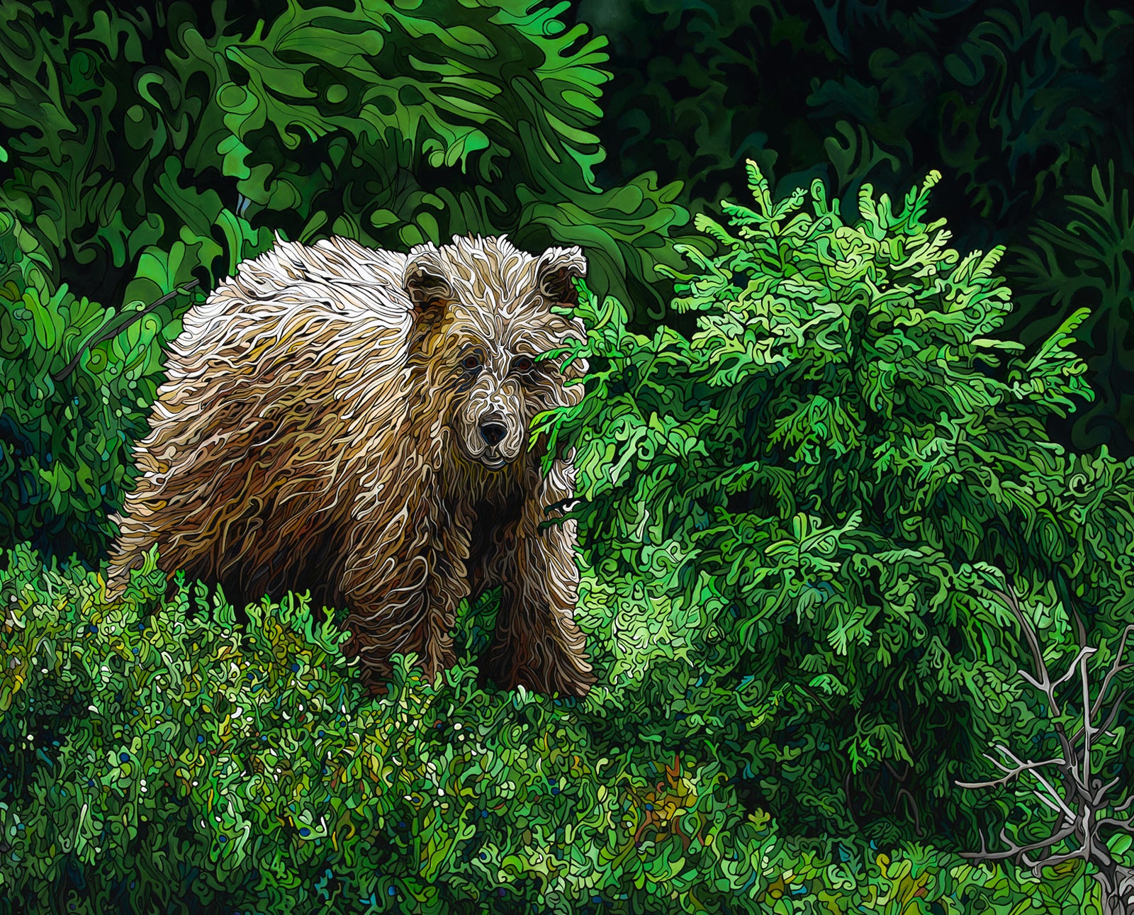 256-hidden-among-the-firs