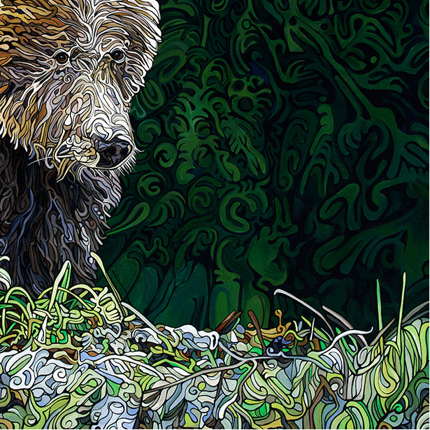 #260 – L'ours insaisissable