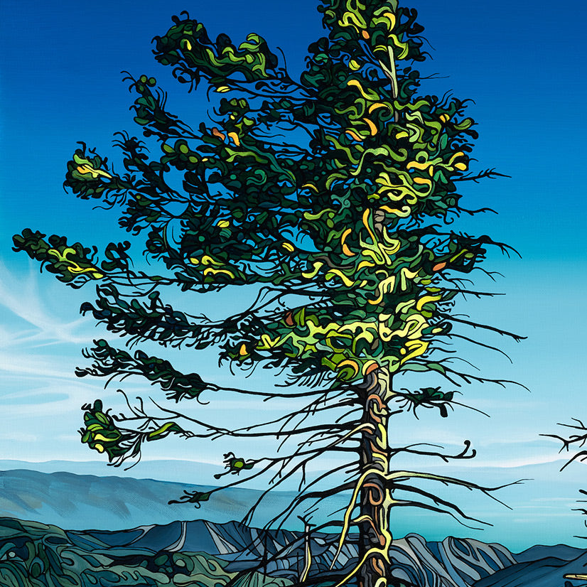 #265 – Golden Hour