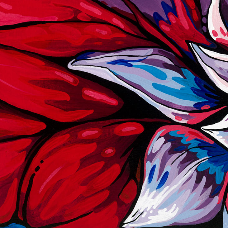 #29 – La créativité de la nature