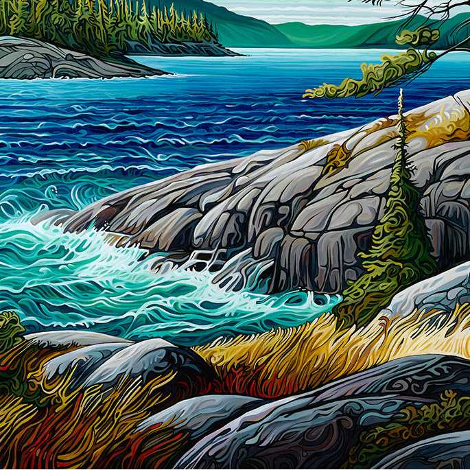 #294 – The Jack Pine