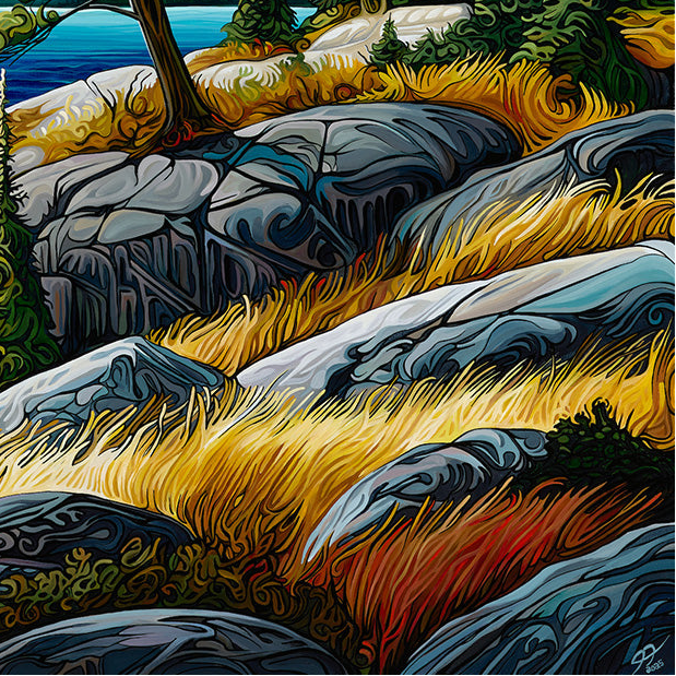 #294 "The Jack Pine"