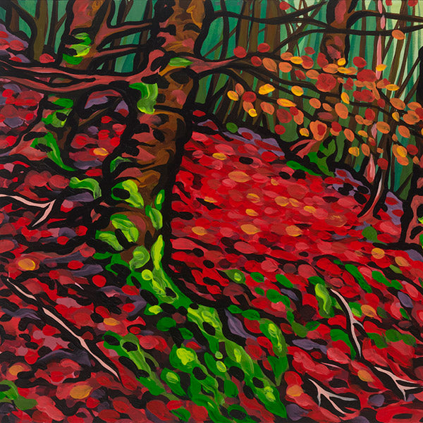 #39 « Une promenade inoubliable »