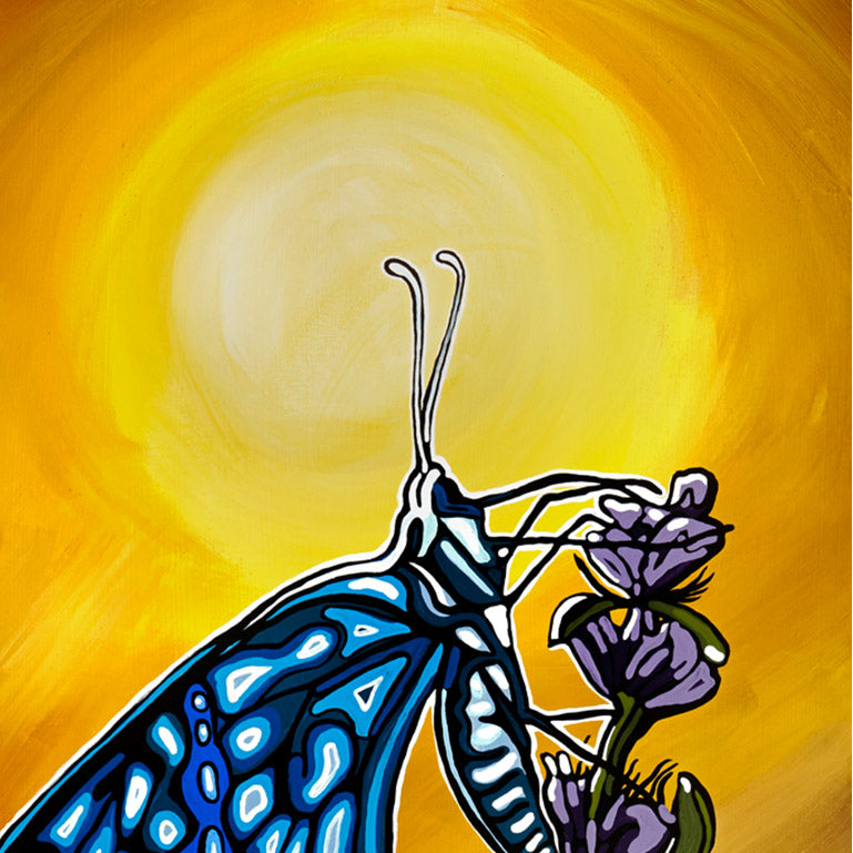 #43 – Last Flight at Dawn