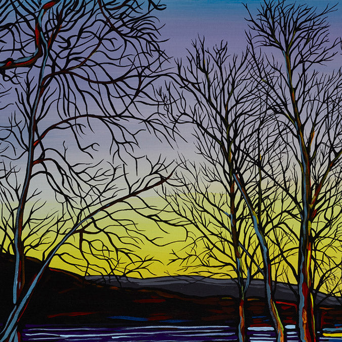 #44 – Waking Morning Light