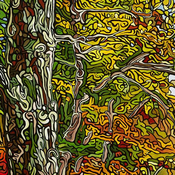 #62 "Au bord des rivières sinueuses"