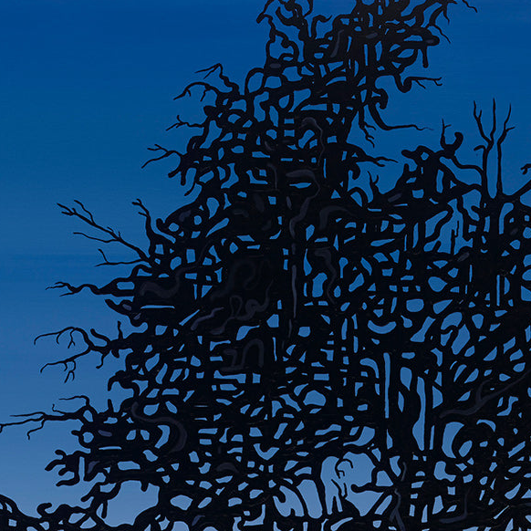 #69 « Observateur du soleil »