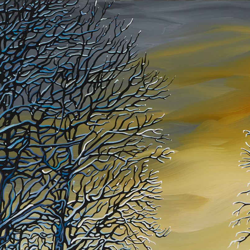 #81 – 城市公园夜光