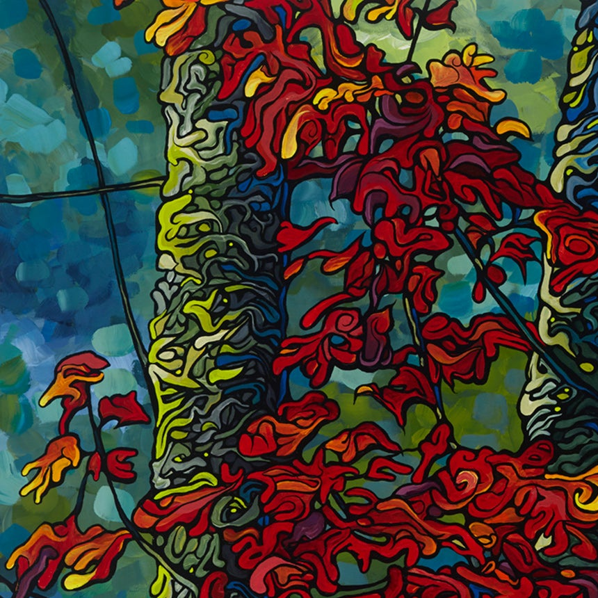 #86 – Touch the Sky