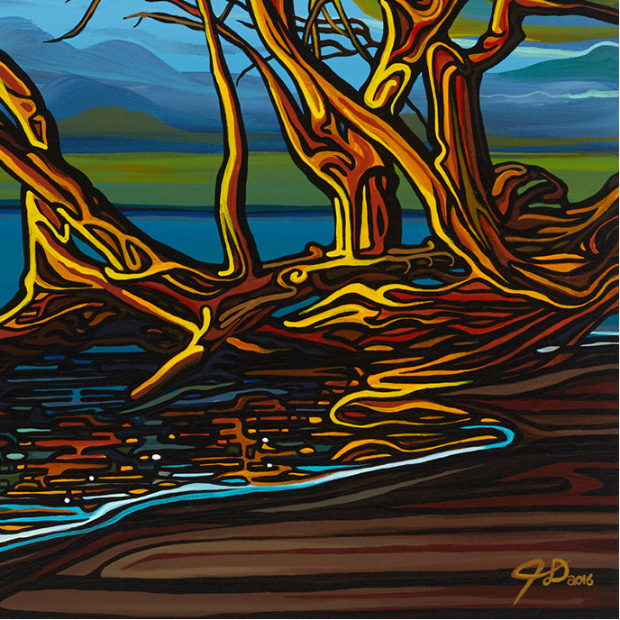 #87 “光明先于黑暗”