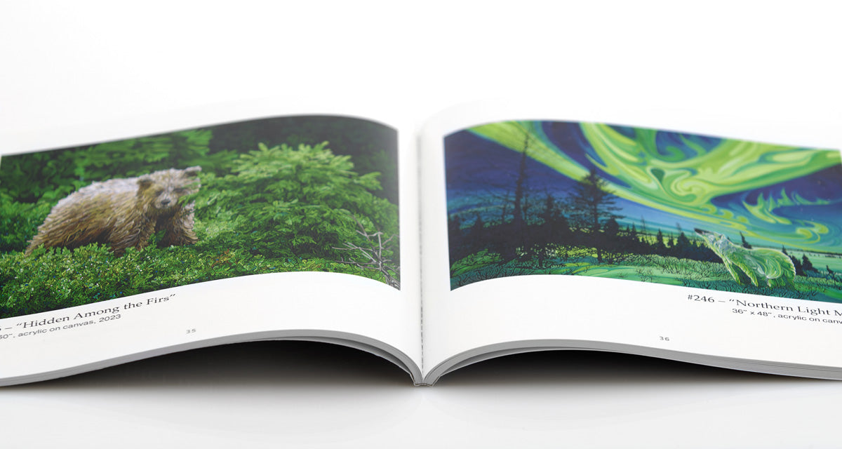 Jeff Dillons Animals Art Book showcases wildlife artwork and features an owl illustration on the cover.