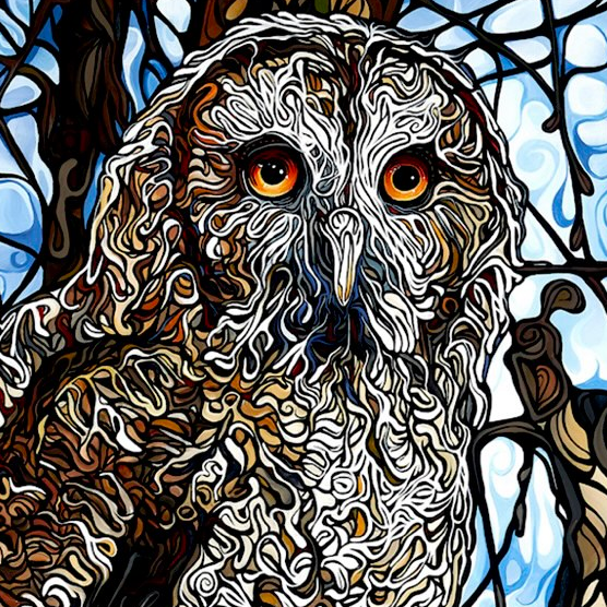 #151 – Contemplateur des étoiles