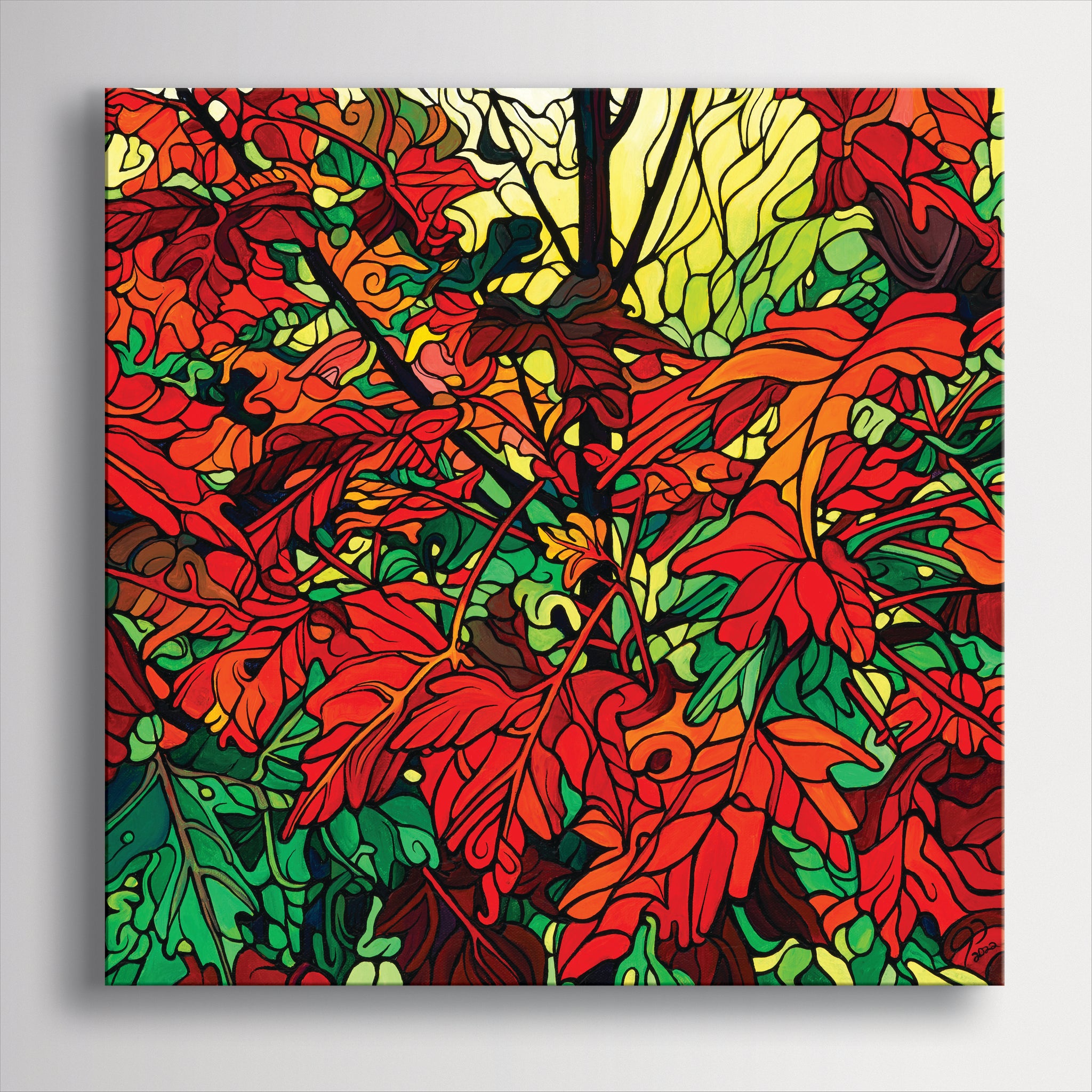 #241 – L'émerveillement