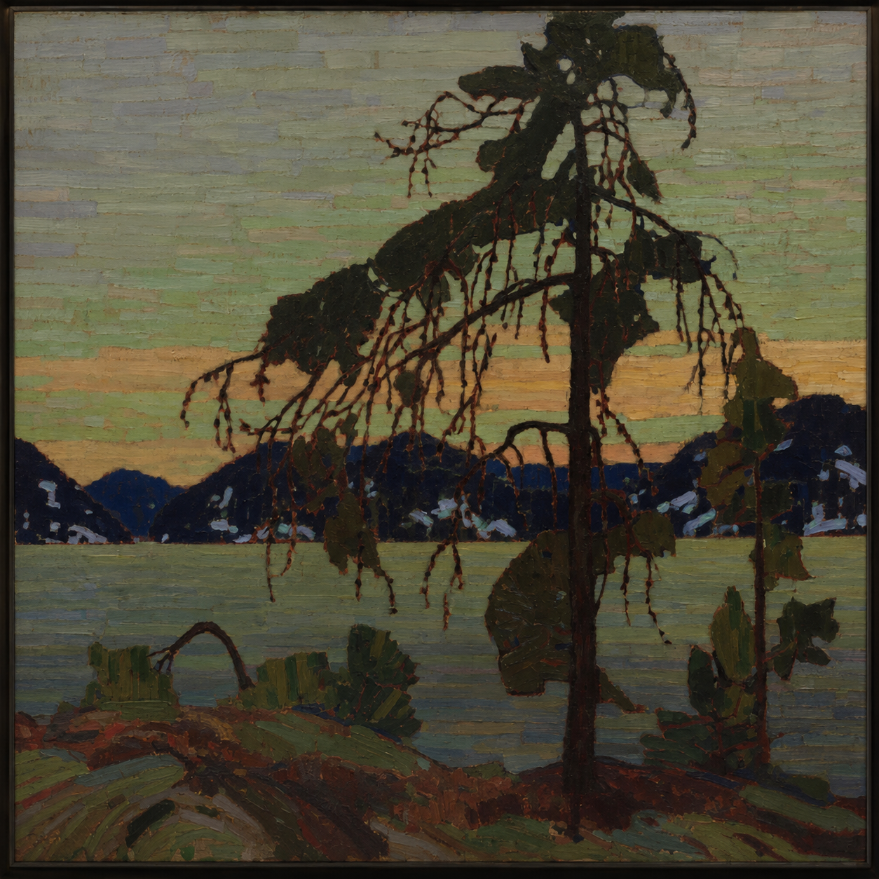 Tom Thomson's The Jack Pine, cover image for an article on the Group of Seven, Tom Thomson, and Emily Carr's influence on Canadian art.