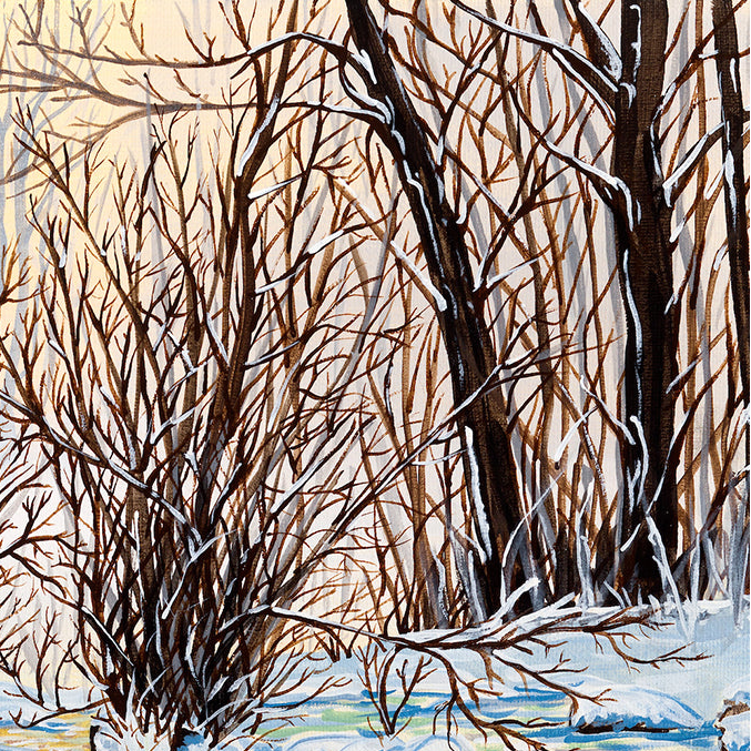 #0-1 – Enchanted Forest