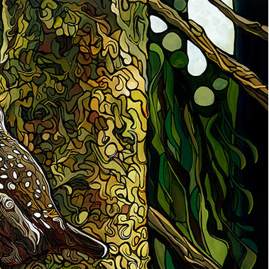 #122 “观察者”