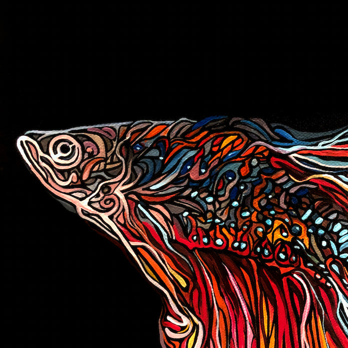 Vibrant, stylized painting Jeff Dillon FIne Art  of a fish in profile on a solid black background, rendered with intricate multicolored lines and patterns in red, orange, blue, yellow, and white.