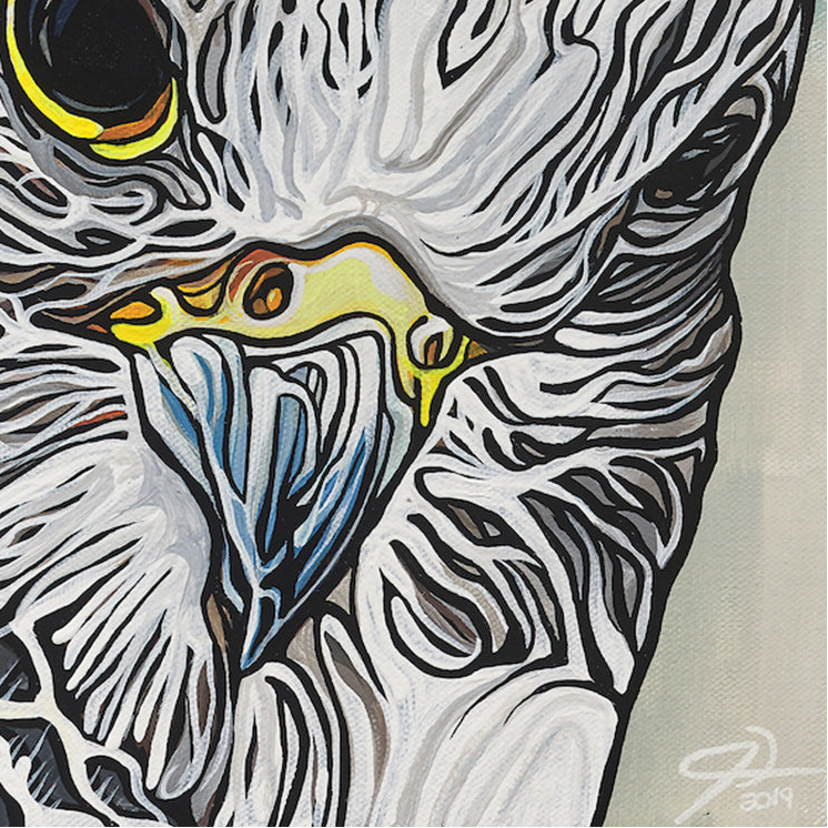 #158 "Concealed Perch"