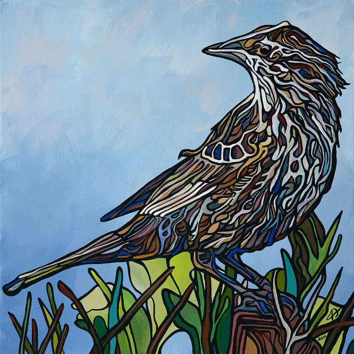 169-red-winged-blackbird-female