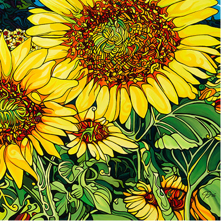 #224 – The Field of Dreams