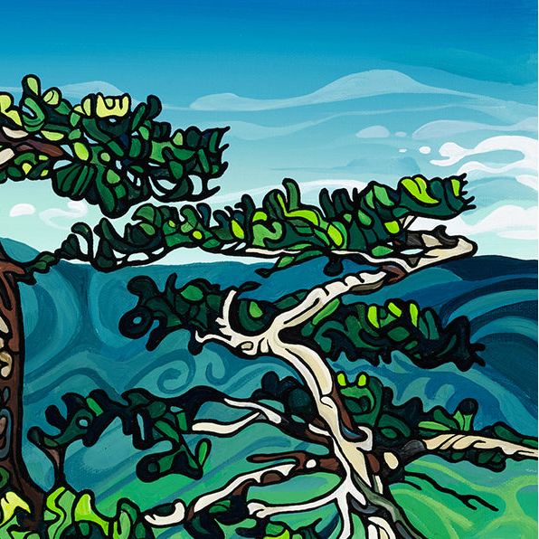 #233 – Horizon bleu doux