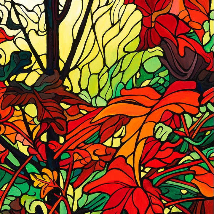 #241 – L'émerveillement