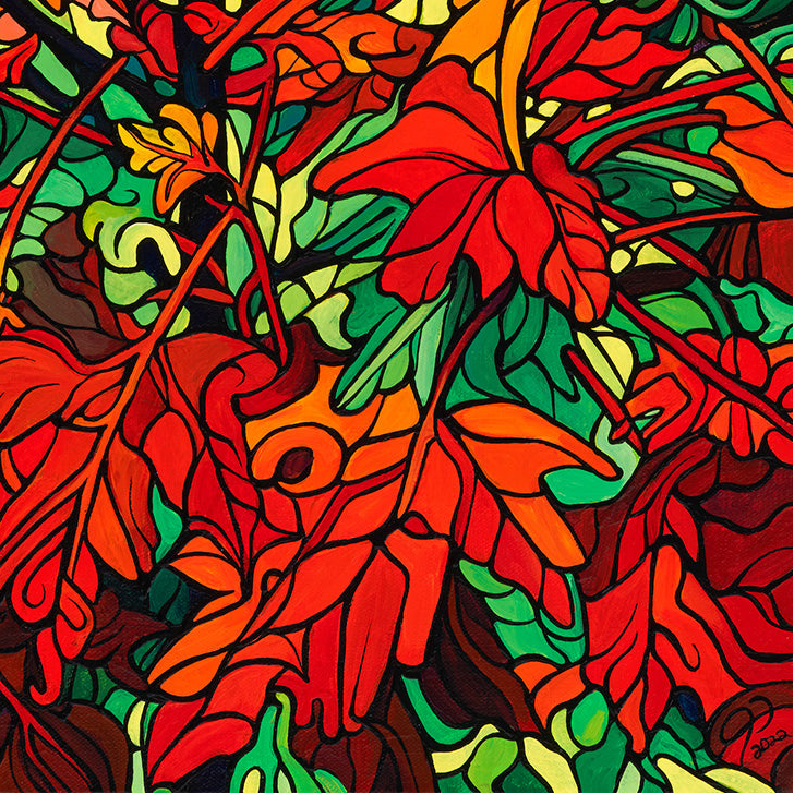 #241 – L'émerveillement