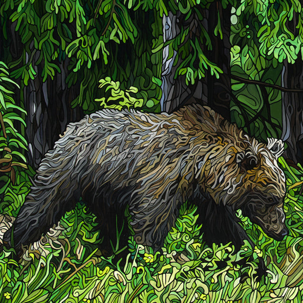 #257 – A Bear's Quest