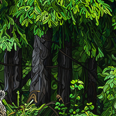 #257 – A Bear's Quest