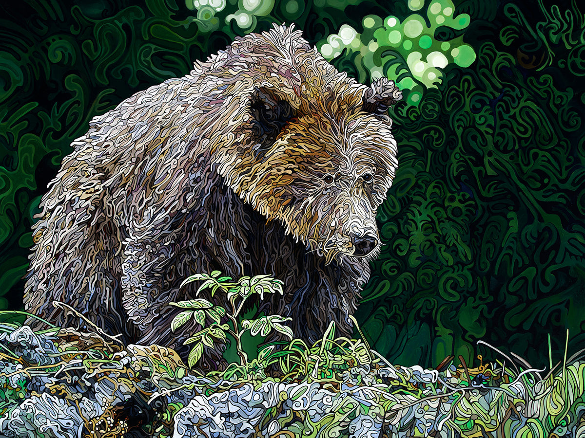 260-the-elusive-bear