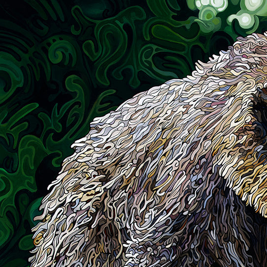 #260 – L'ours insaisissable