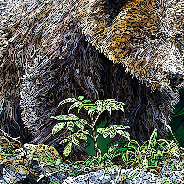 #260 – The Elusive Bear