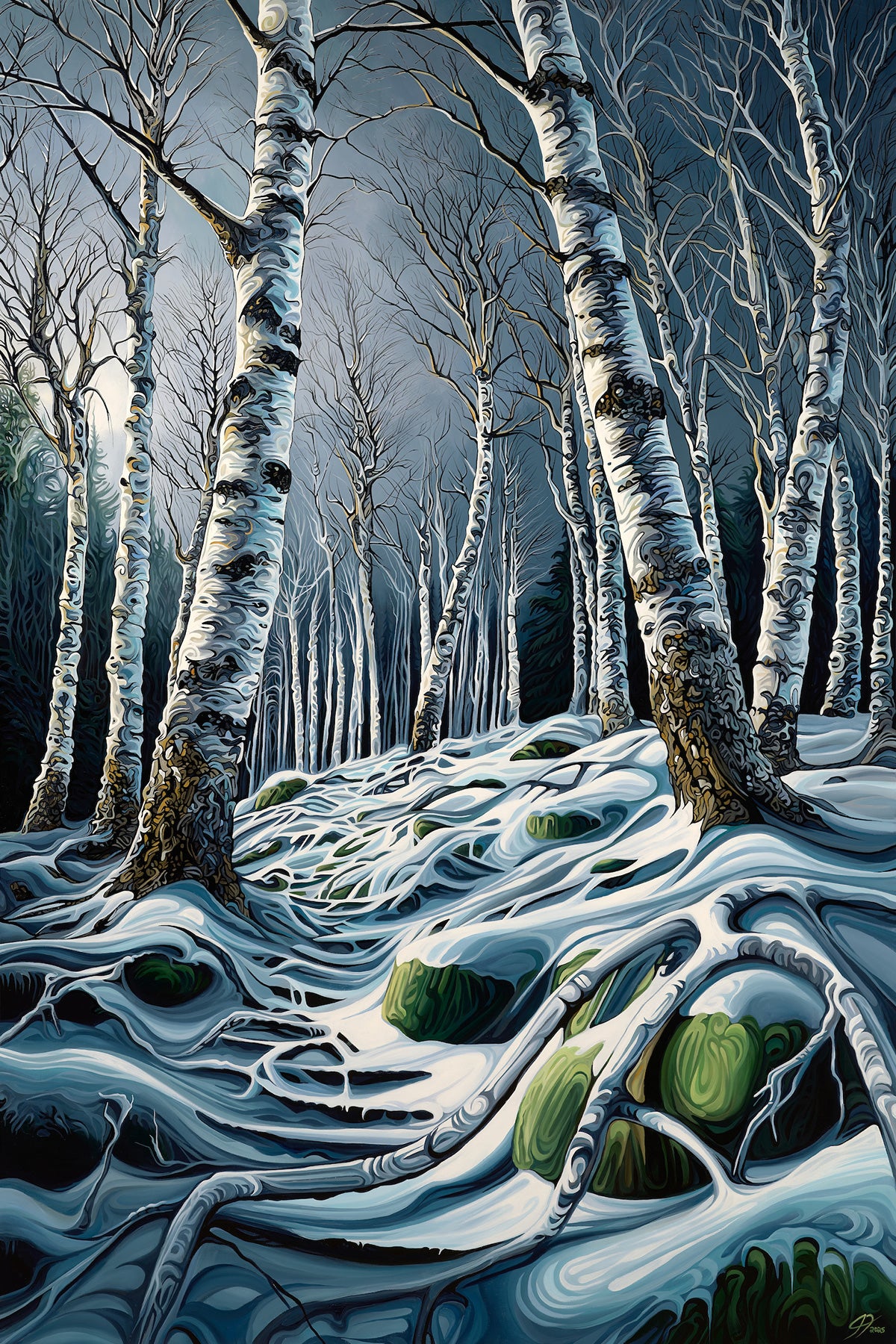 Interwoven By Roots - Birch Forest Fine Art Print | Jeff Dillon