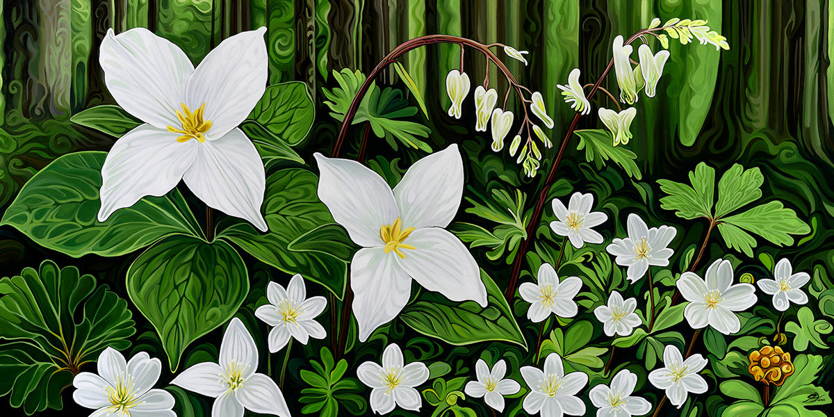 293-stars-and-lanterns