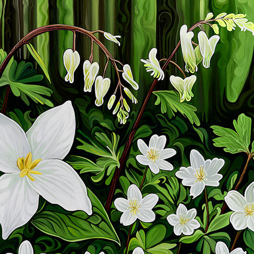 #293 - Stars and Lanterns