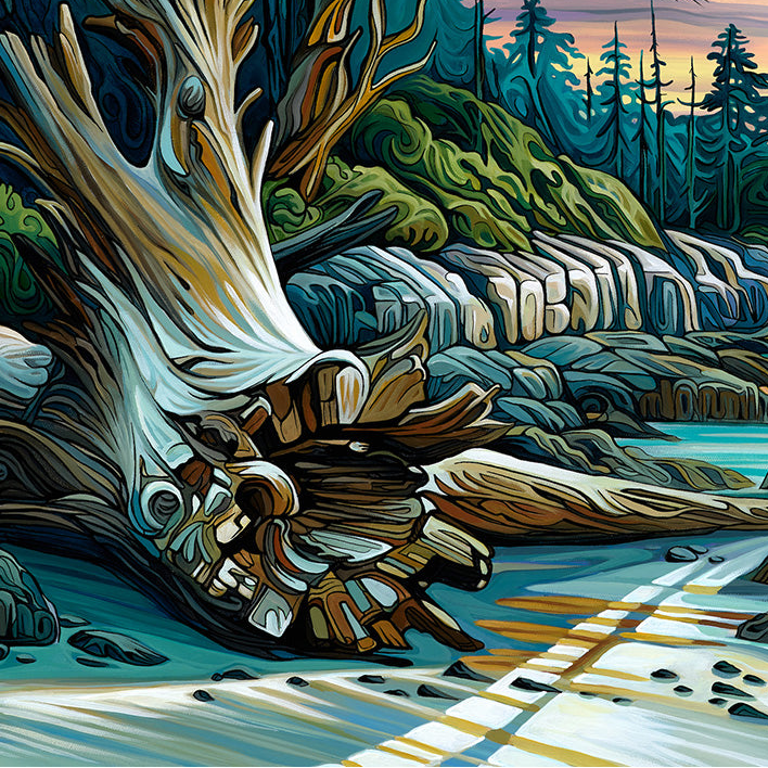 #298 "Driftwood"